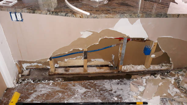 Best Basement water damage restoration  in Marion, MS