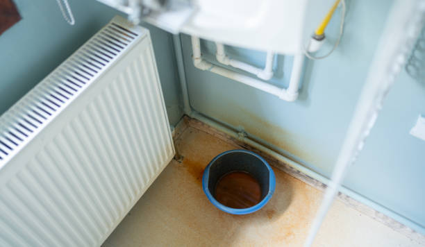 Best Ceiling water damage repair  in Marion, MS