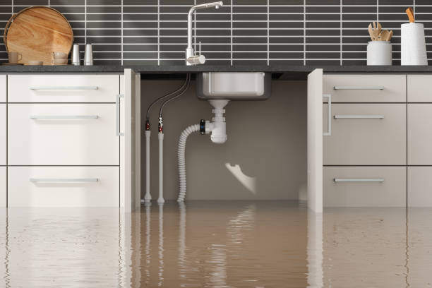 Best Water damage cleanup near me  in Marion, MS