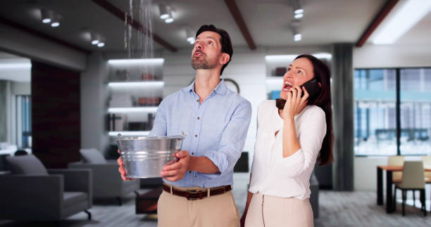 Best Flood restoration services  in Marion, MS