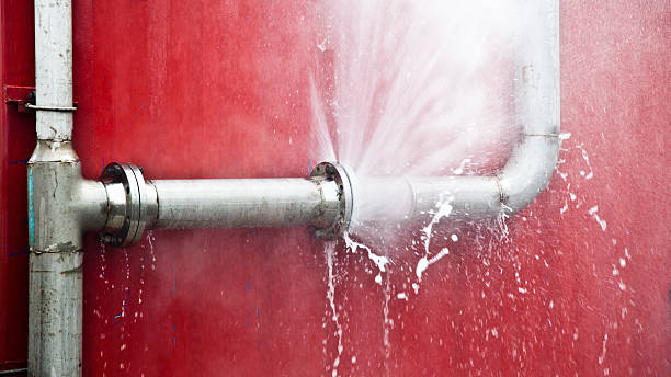 Best Fire Damage Restoration  in Marion, MS